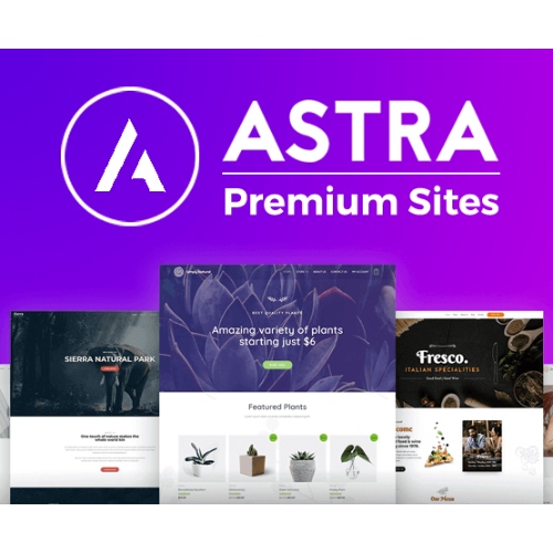 Astra-Premium-Starter-Templates.jpg Astra Premium Starter Templates - Image 1