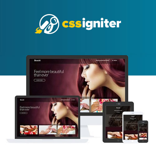 CSS-Igniter-Beaute-WordPress-Theme.jpg CSS Igniter Beaute WordPress Theme - Image 1