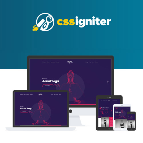 CSS-Igniter-Vigour-WordPress-Theme.jpg CSS Igniter Vigour WordPress Theme - Image 1
