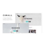 Conall – Clean Multipurpose Theme