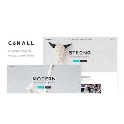 Conall – Clean Multipurpose Theme