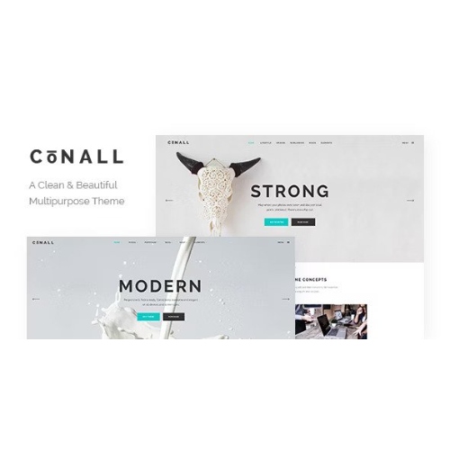 Conall-Clean-Multipurpose-Theme.jpg Conall – Clean Multipurpose Theme - Image 1