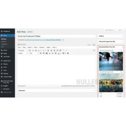 Featured Image from URL Premium