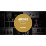 Hermes – Multi-Purpose Premium Responsive WordPress Theme