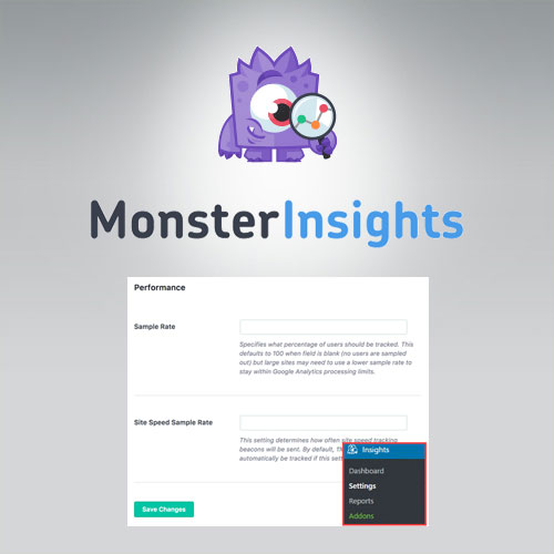 MonsterInsights-Performance-Addon.jpg MonsterInsights – Performance Addon - Image 1