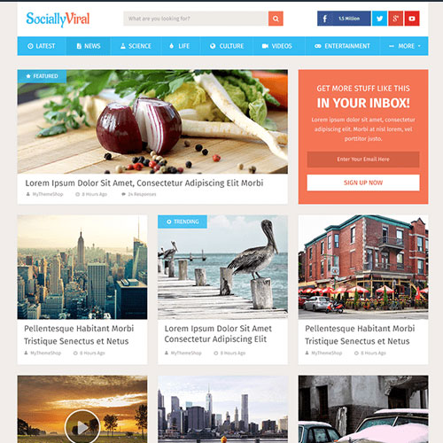 MyThemeShop-SociallyViral-WordPress-Theme.jpeg MyThemeShop SociallyViral WordPress Theme - Image 1