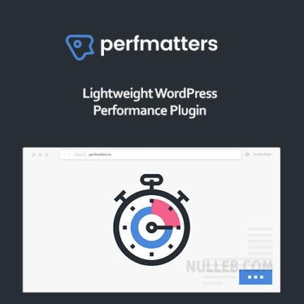 Perfmatters – Accelerator WordPress