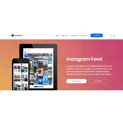 Social-Feed-Gallery-PRO.jpg Instagram Feed by Quadlayers - Image 1