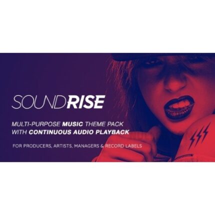 SoundRise – Artists, Producers and Record Labels WordPress Theme