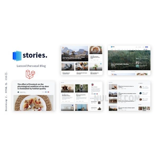 Stories-Laravel-Creative-Multilingual-Blog.jpg Stories – Laravel Creative Multilingual Blog - Image 1