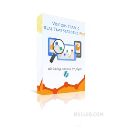 Visitor Traffic Real Time Statistics Pro