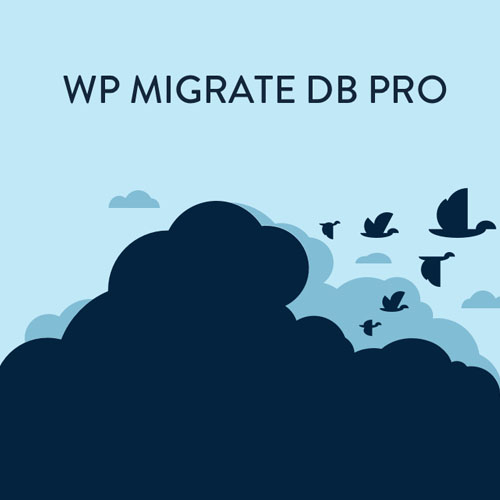 WP-Migrate-DB-Pro.jpg WP Migrate DB Pro - Image 1