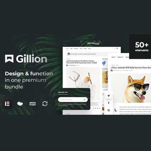 gillion.jpg Gillion | Multi-Concept Blog/Magazine & Shop WordPress AMP Theme - Image 1
